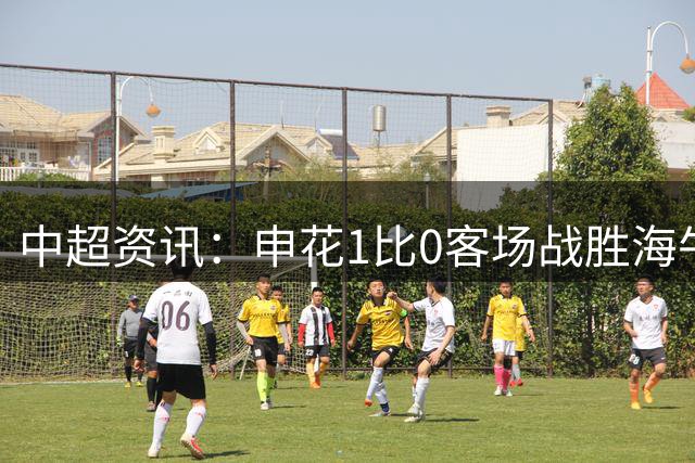 中超资讯：申花1比0客场战胜海牛 暂时安全了