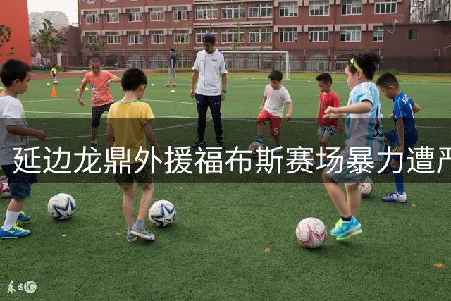 延边龙鼎外援福布斯赛场暴力遭严惩 停赛4场并处4万元罚款
