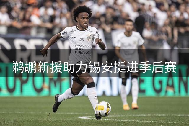 鹈鹕新援助力锡安挺进季后赛